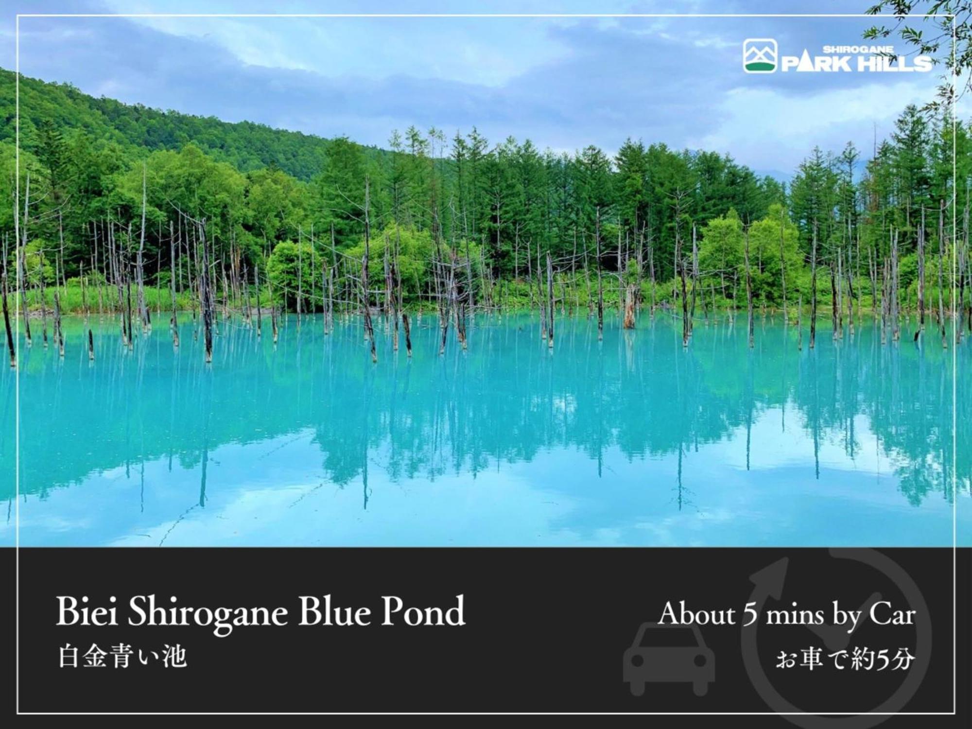 Shirogane Onsen Park Hills Hotel 4*
