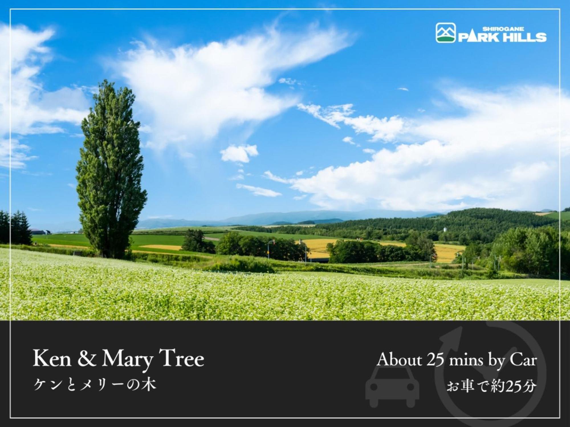 Shirogane Onsen Park Hills Hotel