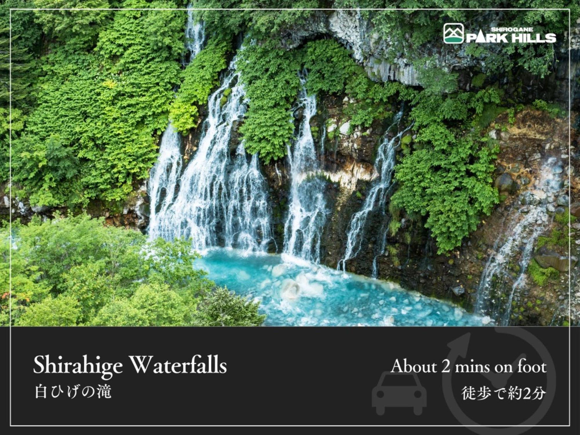 Shirogane Onsen Park Hills Hotel 4*